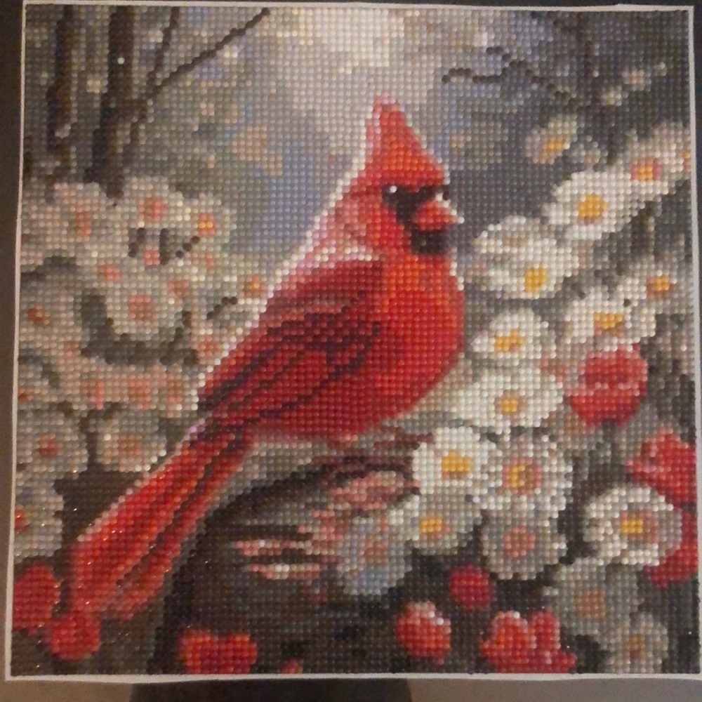 Red and Black Cardinal Painting Art